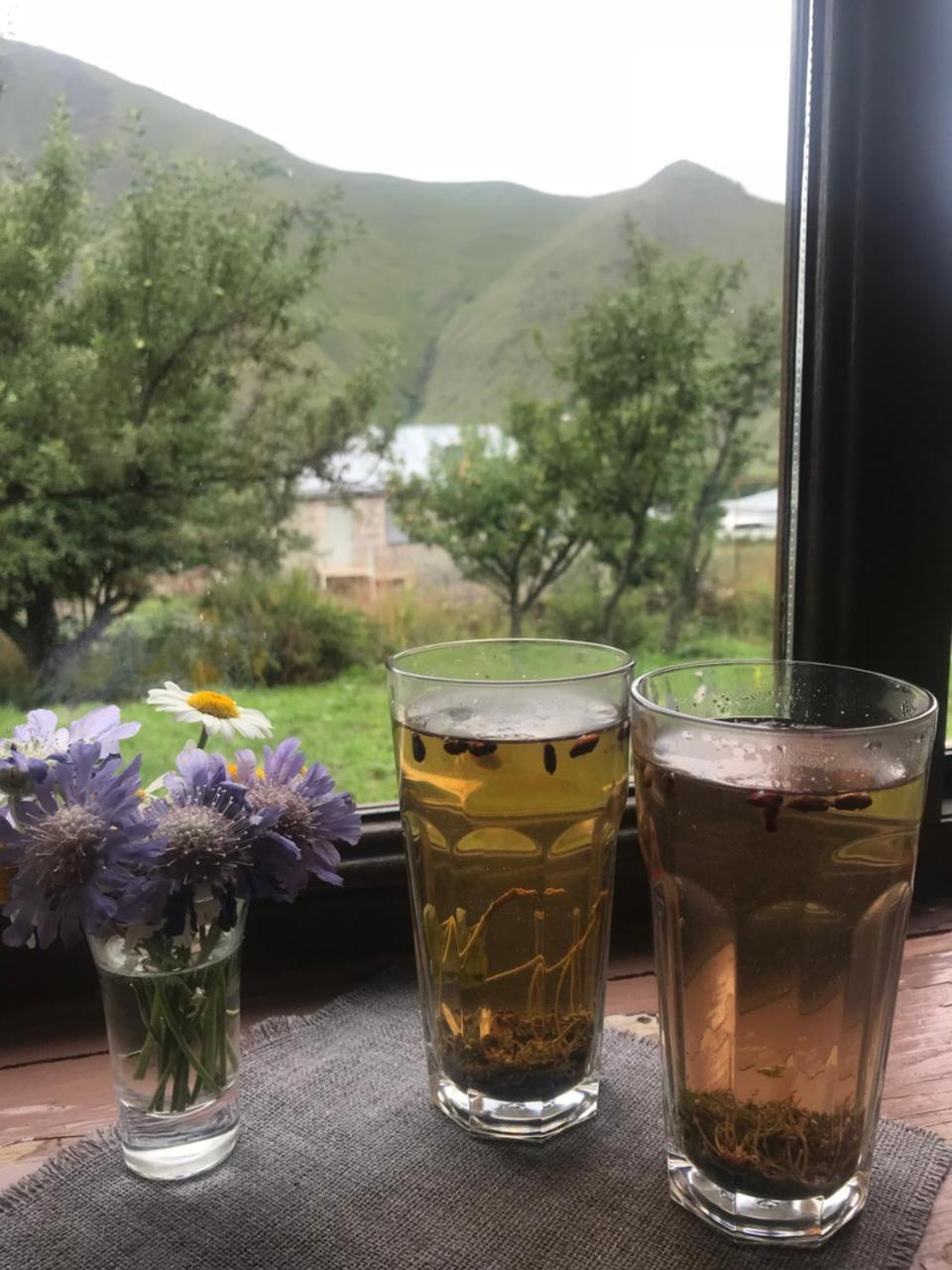 Dachi Inn Kazbegi Εξωτερικό φωτογραφία